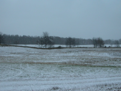 Backyard snow on Nov 15th, 2005